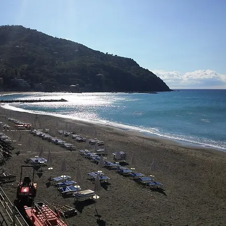 Galli Al Mare *